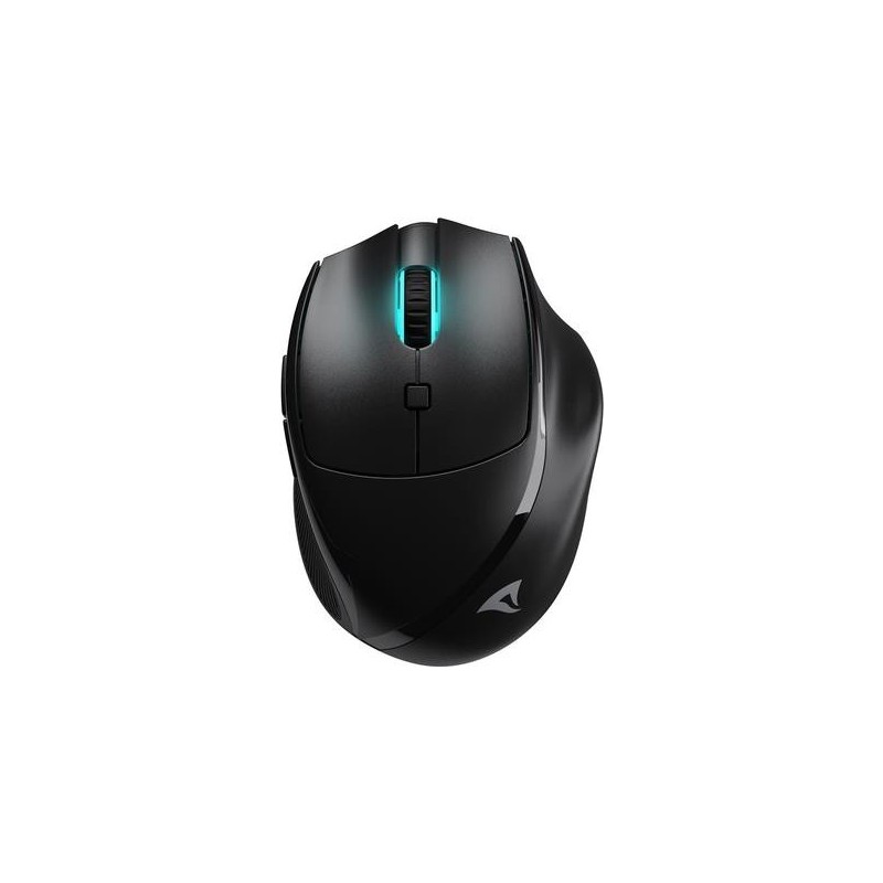 Sharkoon OfficePal M25W mouse Giocare Mano destra RF Wireless + USB T