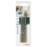 Bosch Accessories 2609256918 Set punte multiuso in metallo duro 3 pez