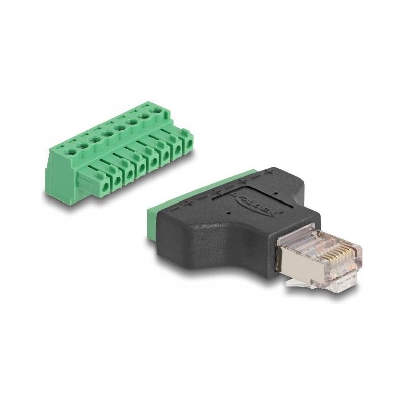 Delock Adattatore RJ45 maschio morsettiera 8 pin 2 pezzi 381 mm