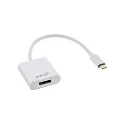 InLine - Adattatore video esterno - USB-C 3.1 - DisplayPort - Argento