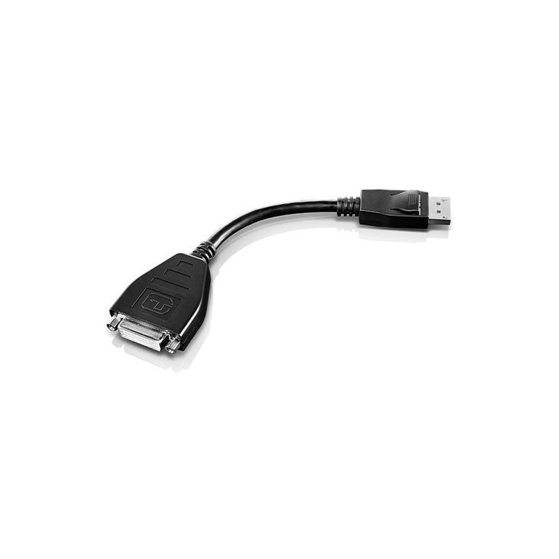 Lenovo 45J7915 cavo e adattatore video 02 m DVI-D DisplayPort