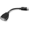 Lenovo 45J7915 cavo e adattatore video 02 m DVI-D DisplayPort