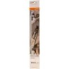 Stihl 30050003205 Binario Carvin Carvin binario di guida grigio (3005