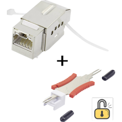 Modulo di installazione Renkforce RJ45 con funzione di blocco / inclu