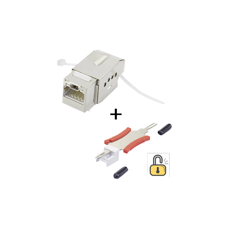 Modulo di installazione Renkforce RJ45 con funzione di blocco / inclu