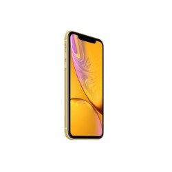 Apple iPhone XR - Display 15.5 cm (6.1&quot; LCD 1792 x 828 pixel) Process