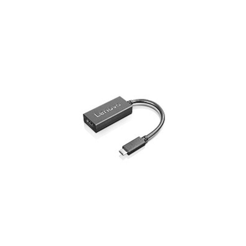 Lenovo 4X90M42956 adattatore grafico USB Nero