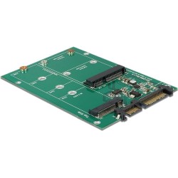 Delock Convertitore SATA 22 pin 1x M.2 1x mSATA