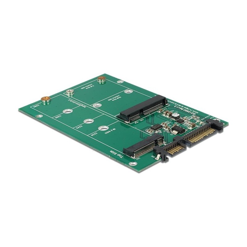 Delock Convertitore SATA 22 pin 1x M.2 1x mSATA