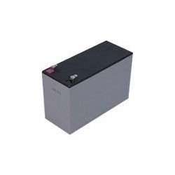 Batteria speciale per UPS 12V 07Ah (19.49.1207)