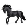 schleich HORSE CLUB Pura Raza Española Stallion