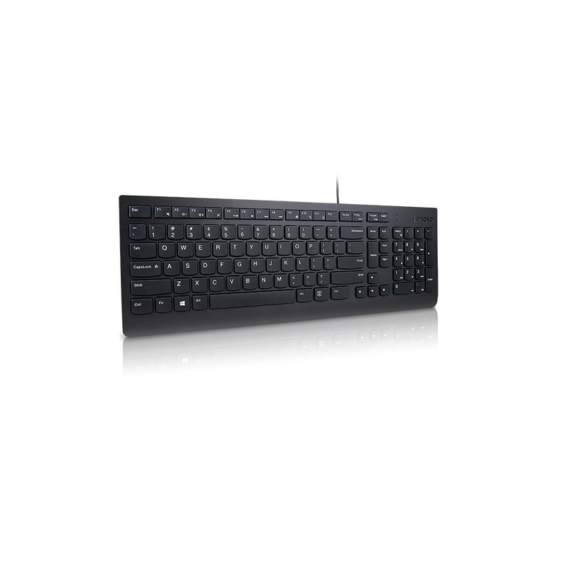 Lenovo Essential tastiera USB QWERTZ Tedesco Nero