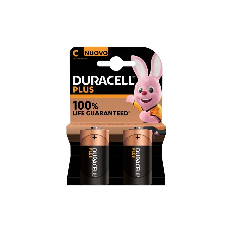 Duracell Plus 100 C B2 x10