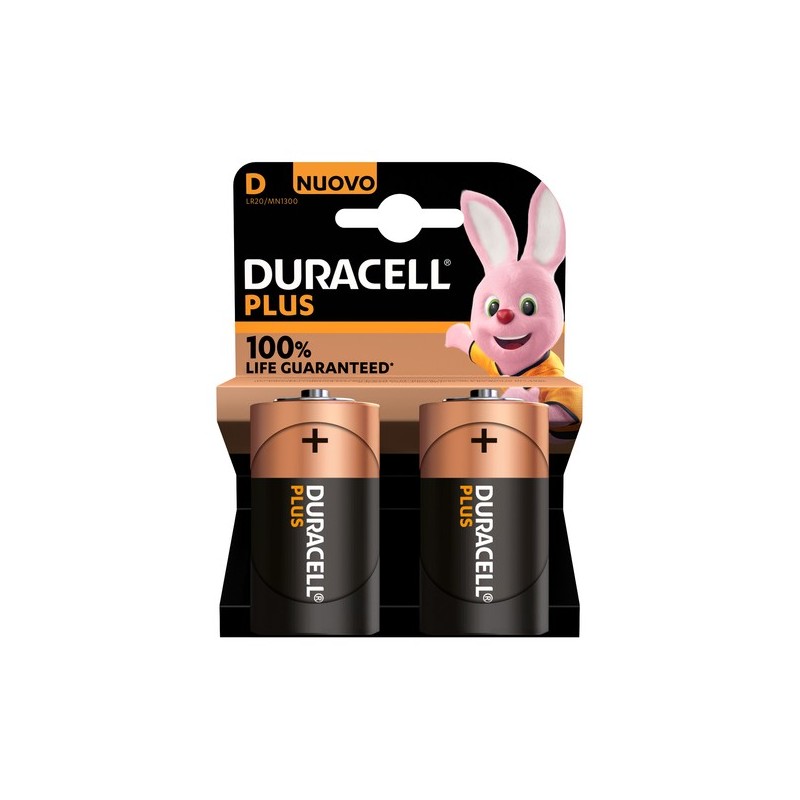 Duracell Plus 100 D B2 x10