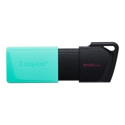 Kingston DataTraveler Esodia M Memoria USB 256GB - USB 32 Gen 1 - Ca