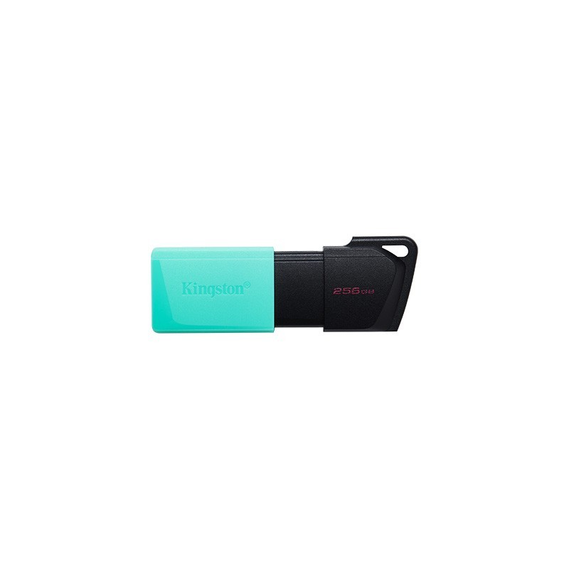 Kingston DataTraveler Esodia M Memoria USB 256GB - USB 32 Gen 1 - Ca