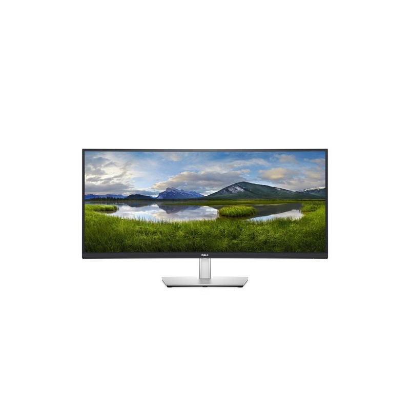 DELL P Series Monitor USB-C curvo 34 P3421W