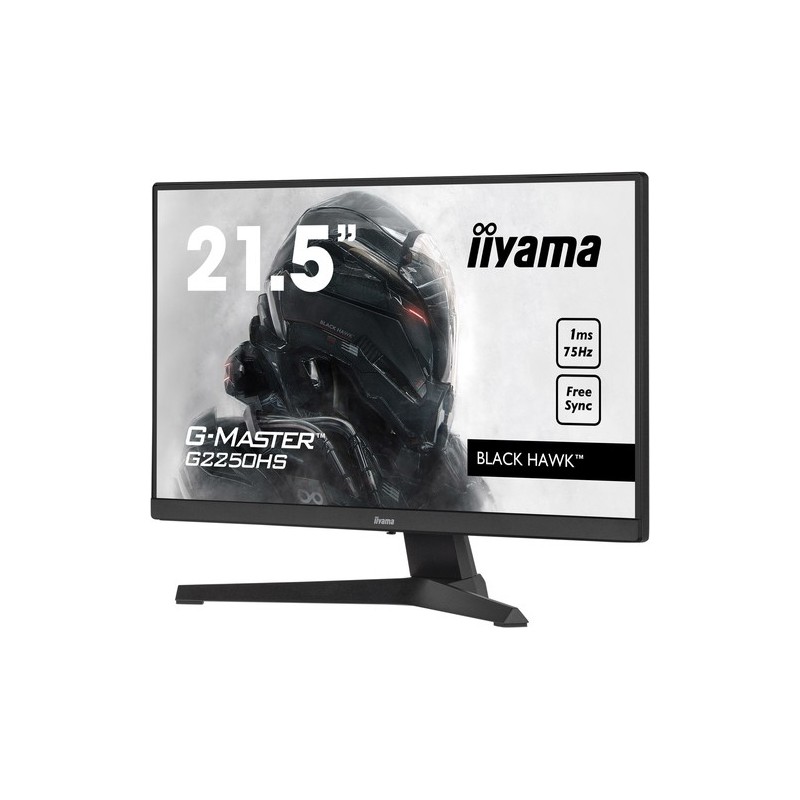 iiyama G-MASTER G2250HS-B1 Monitor PC 546 cm 215" 1920 x 1080 Pix