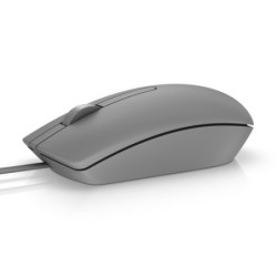 DELL MS116 mouse Ambidestro USB tipo A Ottico 1000 DPI