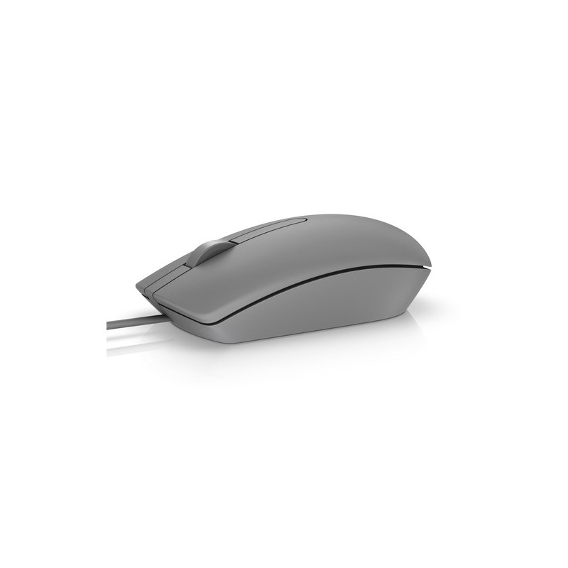 DELL MS116 mouse Ambidestro USB tipo A Ottico 1000 DPI