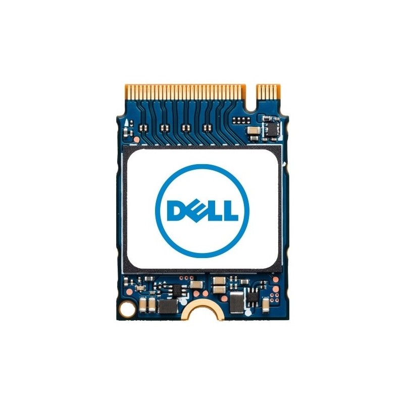 DELL AC280179 drives allo stato solido M2 1 TB PCI Express 40 NVMe