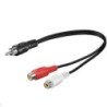 RCA - 2xRCA 020m M-F