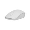 Rapoo M20 Plus Silent mouse Ambidestro RF Wireless Ottico 1000 DPI