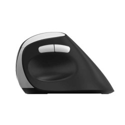 Rapoo EV250 mouse Mano destra RF Wireless Ottico 1600 DPI