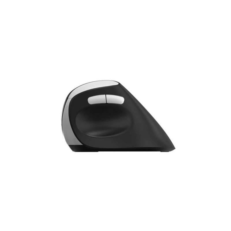 Rapoo EV250 mouse Mano destra RF Wireless Ottico 1600 DPI